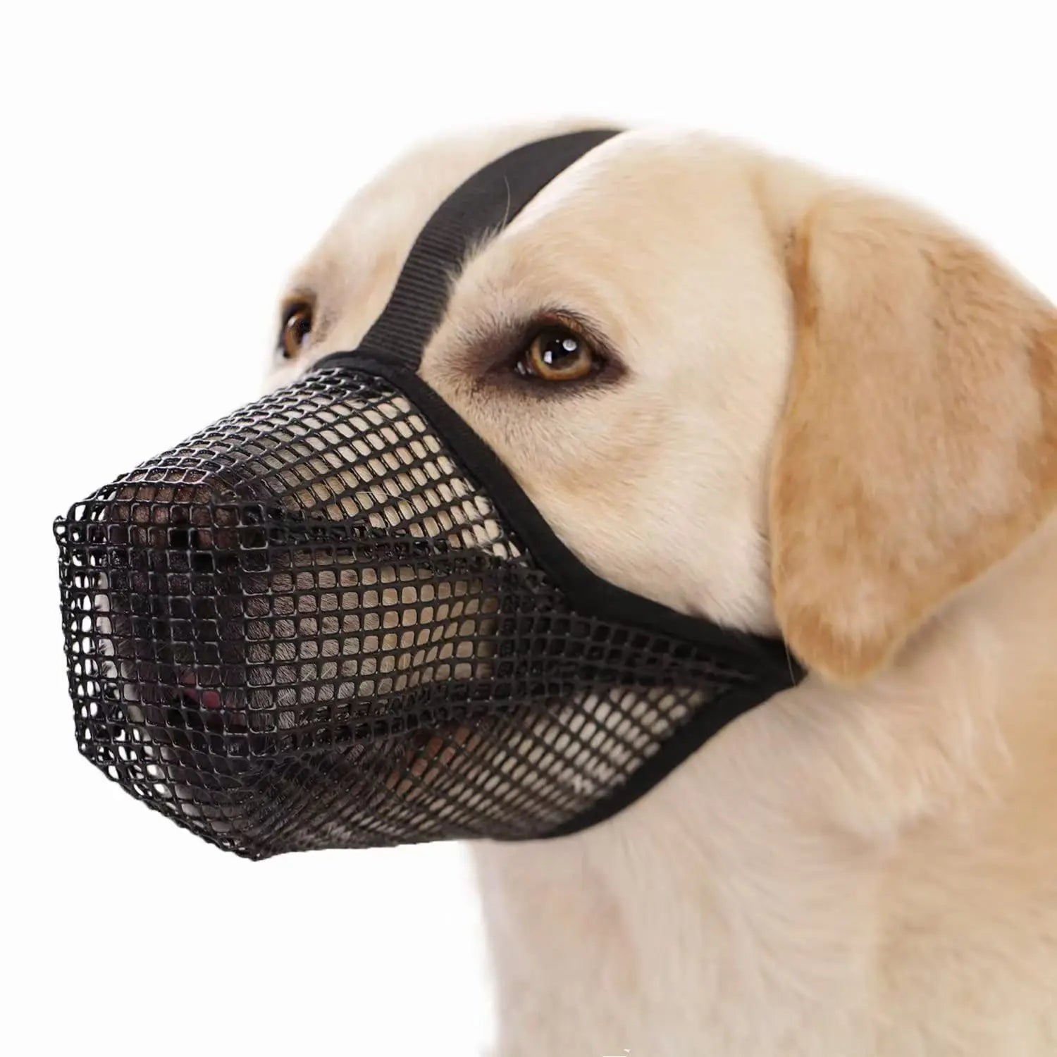 Dog Mouth Cover - Omnia